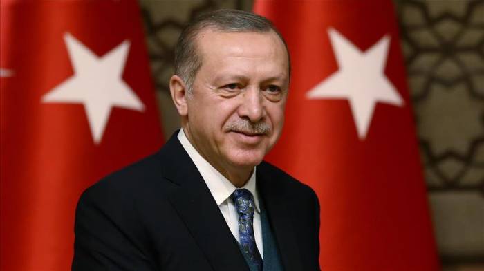 Эрдоган выразил обеспокоенность применением обычного оружия в Сирии
