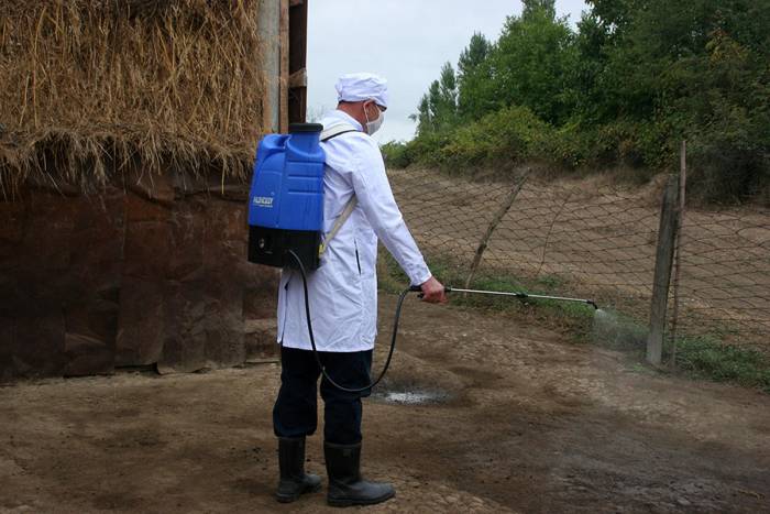 В приграничные с Россией районы Азербайджана направлена вакцина против оспы
