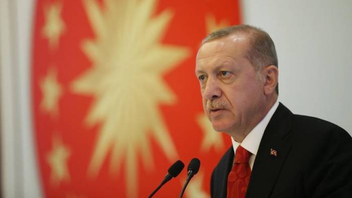 Турция за антитеррористическую операцию в Идлибе
