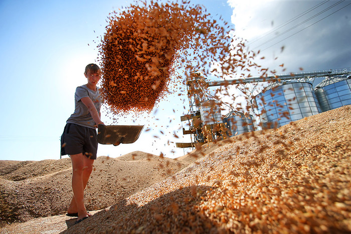 В России планируют экспортировать 30 млн тонн зерна 