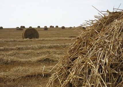 В Азербайджане выявлены факты незаконного использования земель 