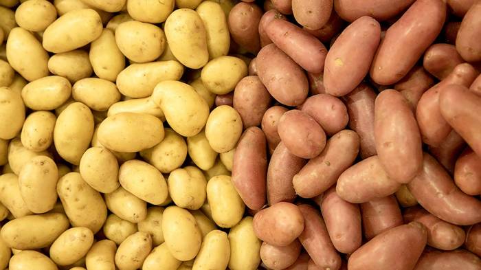 Повышены пошлины на импортный картофель