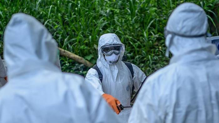 В Демреспублике Конго растет число жертв лихорадки Эбола
