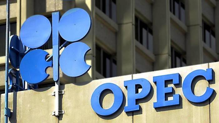 ОПЕК опубликовал прогноз по добыче нефти в Азербайджане в 2019 году
