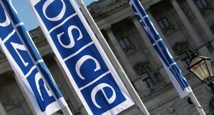 Обсуждены вопросы сотрудничества между Азербайджаном и ОБСЕ
