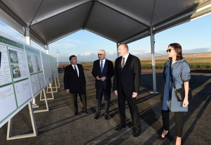Президент Ильхам Алиев принял участие в открытии Гахского агропарка ООО «Улу Агро»- ФОТО
