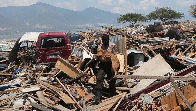В Индонезии число жертв землетрясения и цунами превысило две тысячи
