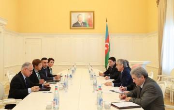 Вице-премьер: Азербайджан мобилизовал все силы для выполнения задач