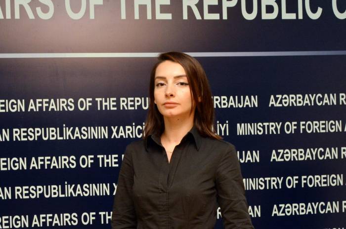 Лейла Абдуллаева: Азербайджан поднимет вопрос перед МИД России об инициативе Акопян 