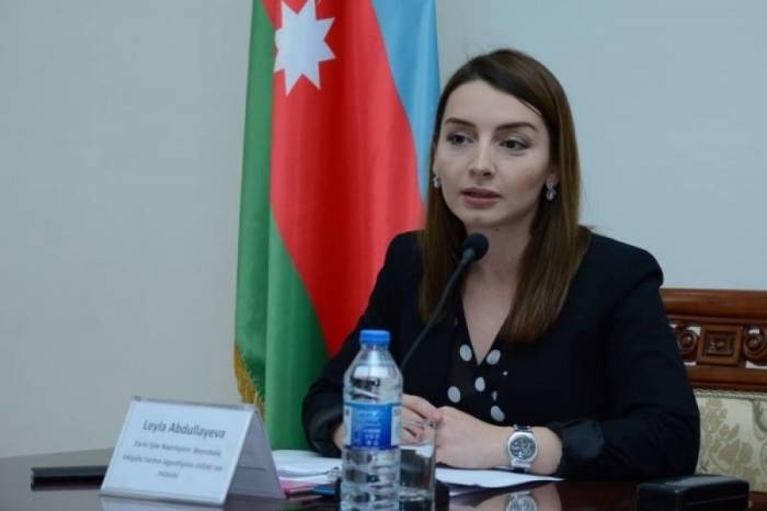 Лейла Абдуллаева: "Высказывание представителя МИД Армении противоречит правилам дипломатического этикета"