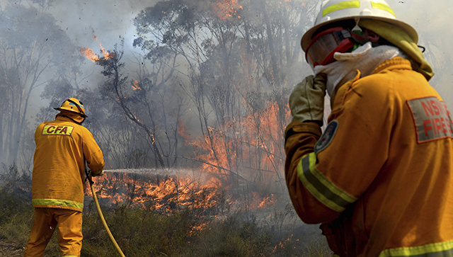 В Австралии лесные пожары охватили более 20 тысяч гектаров
