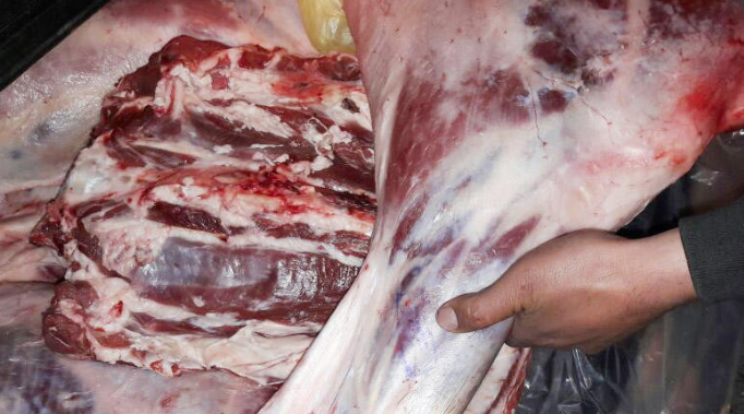 Рейд МВД и АПБА в Гёйчае, обнаружено полтонны подозрительного мяса
