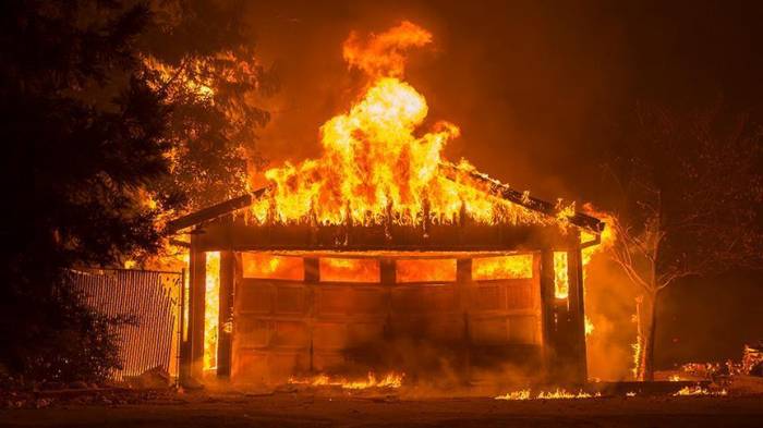 Число жертв лесных пожаров в Калифорнии достигло 50
