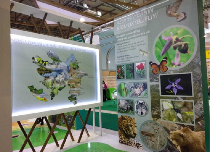 В Баку стартовала выставка Caspian Ecology