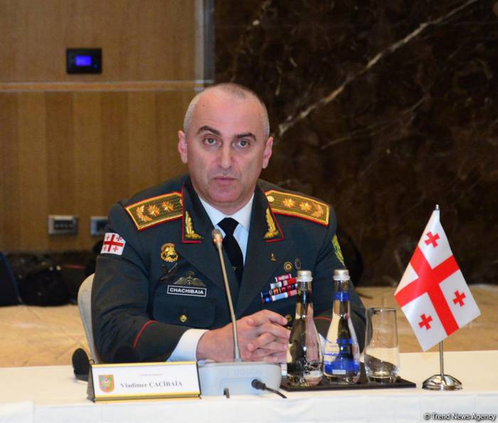Начальник Генштаба ВС Грузии об обеспечении безопасности экономических проектов в регионе