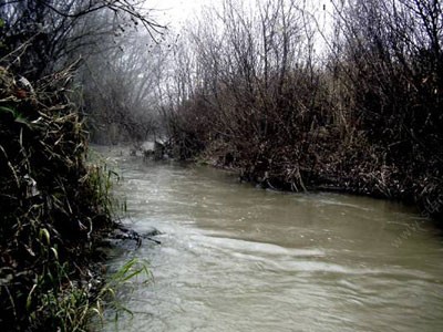 В южном регионе Азербайджана ливни привели к подъему уровня воды в реках