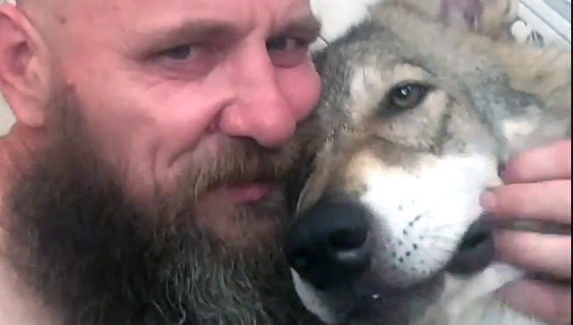 В Волгограде медработник живет в квартире с волком
