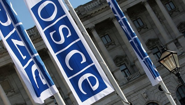 В ОБСЕ не стали комментировать заявления хакеров Anonymous

