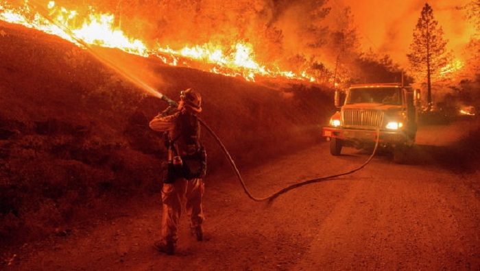 Число жертв пожаров в Калифорнии возросло до 84
