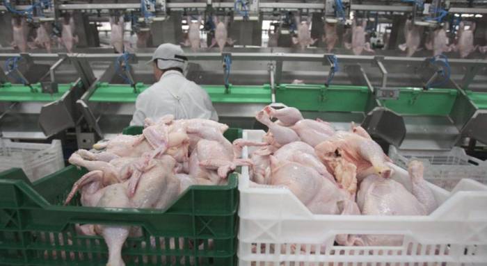 В Душанбе обсуждены возможности поставок в Таджикистан птичьего мяса из США
