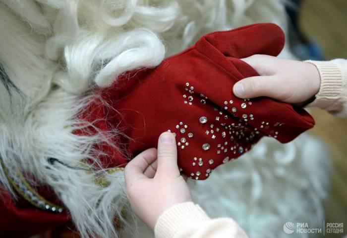 Дед Мороз поздравил с Новым годом сирийских детей
