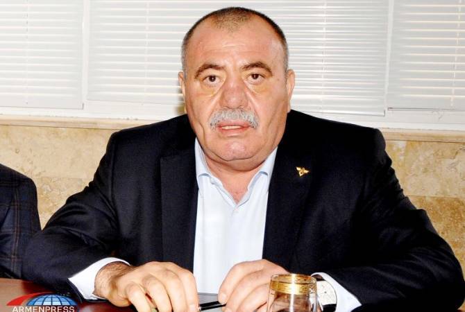 Директор СНБ Армении: Манвела Григоряна на свободу не выпустят