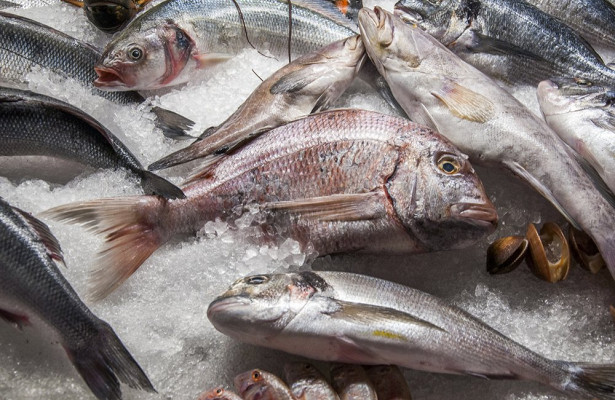 Россельхознадзор обнаружил превышение мышьяка в рыбе с предприятия из Армении
