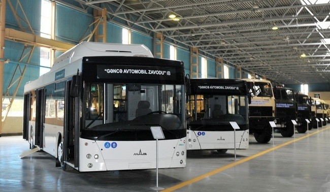 В Азербайджане будут производить электробусы
