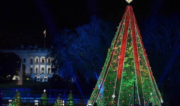 В США вновь зажглись огни на главной рождественской ели

