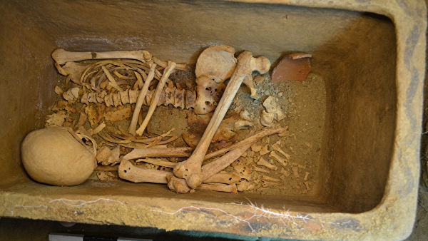 В Великобритании обнаружены скелеты предполагаемых вампиров
