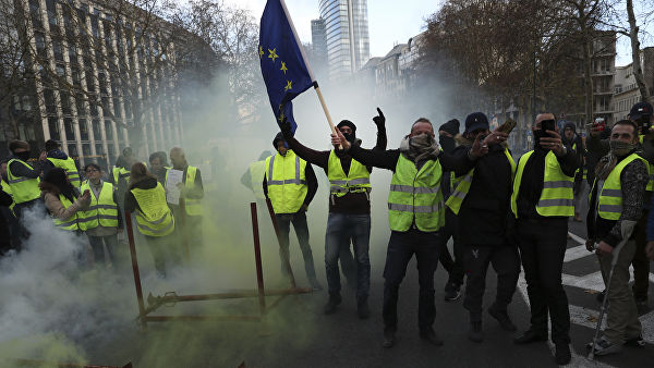 Полиция в Брюсселе свозила задержанных на акции "желтых жилетов" в конюшню
