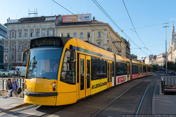 В городах Азербайджана могут пустить трамваи
