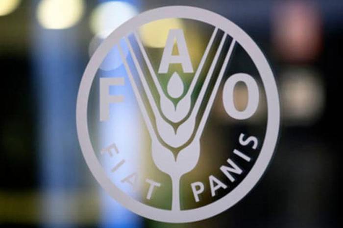FAO заинтересована реализовывать с Азербайджаном совместные проекты в третьих странах

