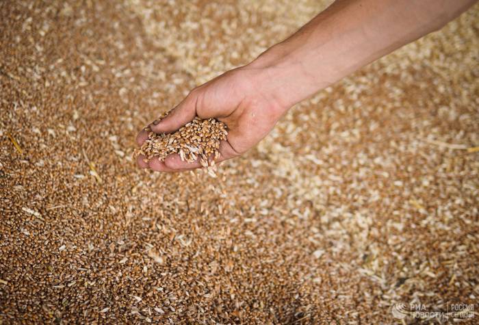 Россия хочет увеличить поставки зерна в Мексику

