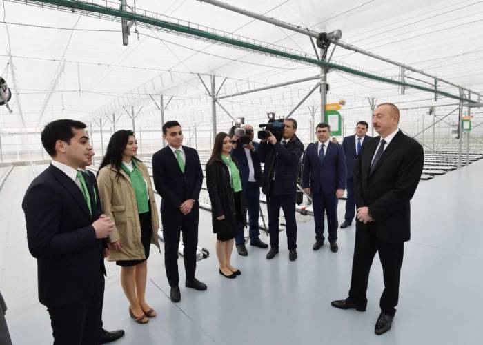 Президент Ильхам Алиев на открытии НИИ овощеводства в Баку - ФОТО, ВИДЕО