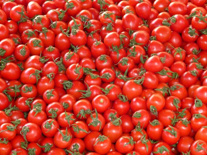 Министр: Азербайджан ведет переговоры с Россией для преодоления проблем с экспортом томатов