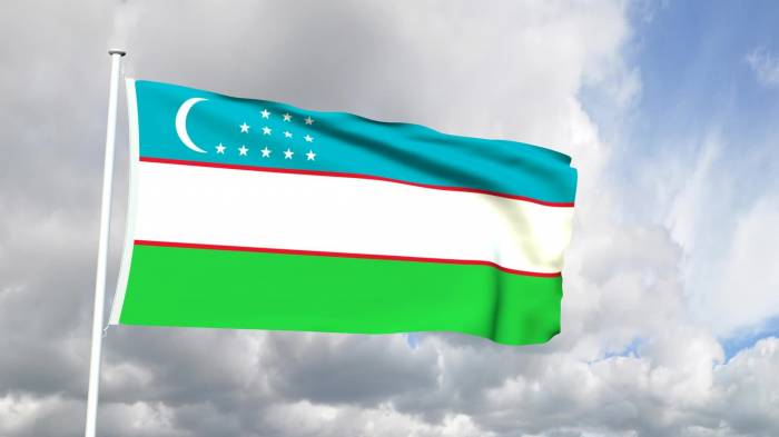 Узбекистан готов работать над реализацией проекта Камбар-Атинской ГЭС-1