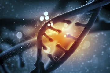 Перестраивает ДНК: генетики рассказали, как алкоголь вызывает зависимость