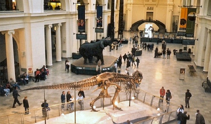 Нет денег: Главные американские музеи и зоопарк Вашингтона закрылись 