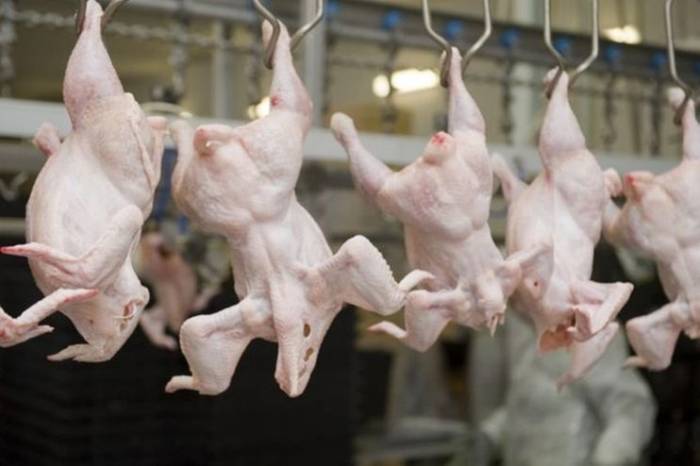 Азербайджана импортировал из Украины более 20 тыс тонн птичьего мяса 
