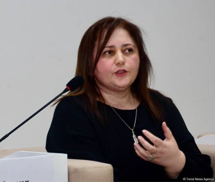 "Вербовщики" в соцсетях служат конкретным целям - Госкомитет Азербайджана
