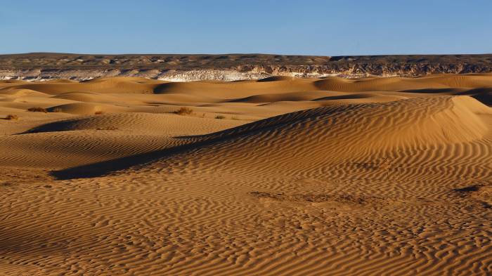 Археологи обнаружили в Сахаре следы неизвестной цивилизации
