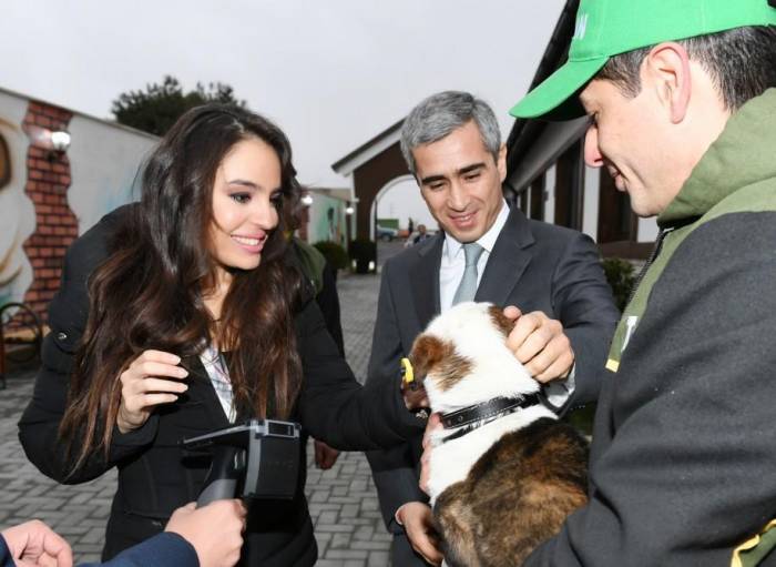 Лейла Алиева приняла участие в открытии центра заботы о бездомных собаках в Баку