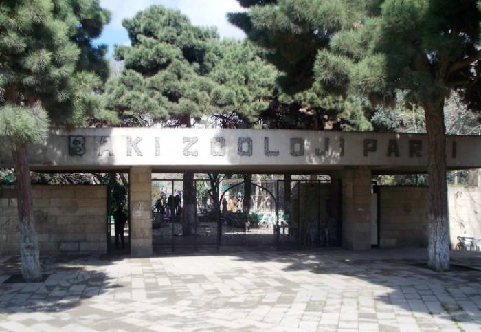 Бакинский зоопарк временно закрывается 