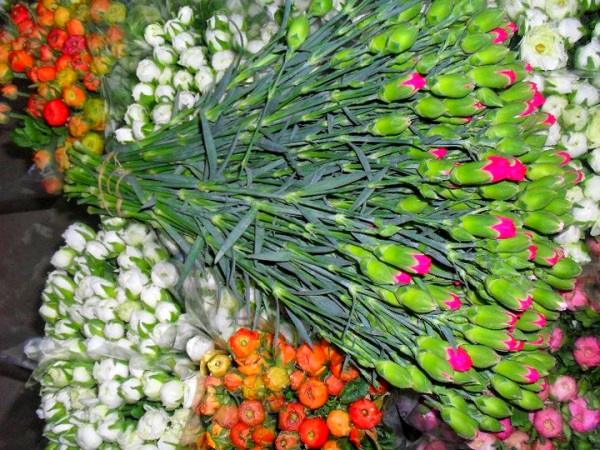 Азербайджан входит в число крупных импортеров турецких цветов
