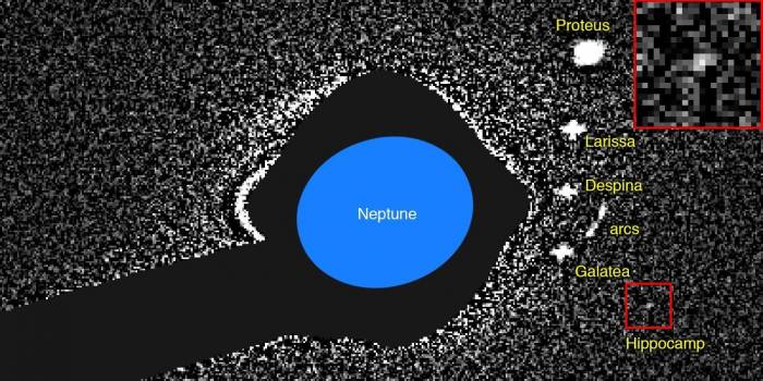 Астрономы "официально" открыли новую луну Нептуна
