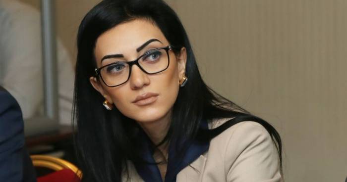 Экс-министр Армении нынешней власти: Вы исказили международный опыт

