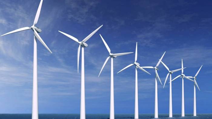 Выработка ветровой энергии в Азербайджане увеличилась в 8 раз
