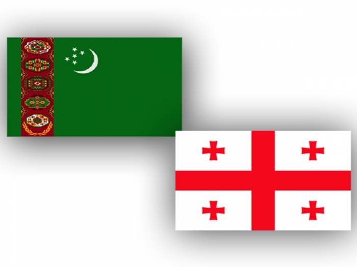 Главы МИД Туркменистана и Грузии подписали Программу сотрудничества
