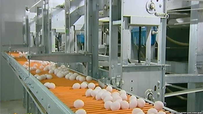 На фоне внутреннего дефицита Туркменистан экспортировал около 80 миллионов штук куриных яиц 
